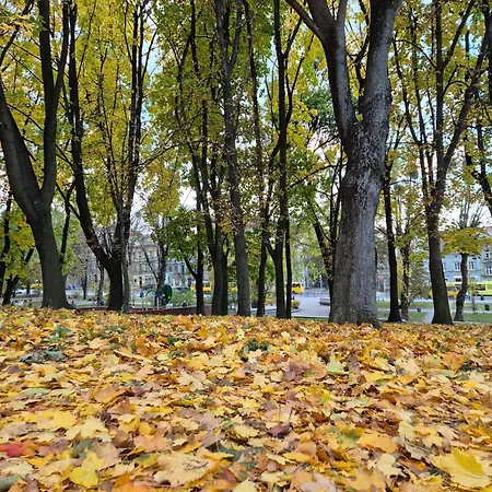 Appartement Vernygory 14