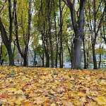 شقة Vernygory 14